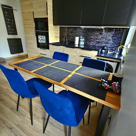 Apartament Radiostacja III Z Ogrodkiem, Parking Free Gliwice Bagian luar foto